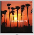 /album/photo-gallery-canvas-uri/decoratiuni-de-perete-canvas-lc-1071-jpg/